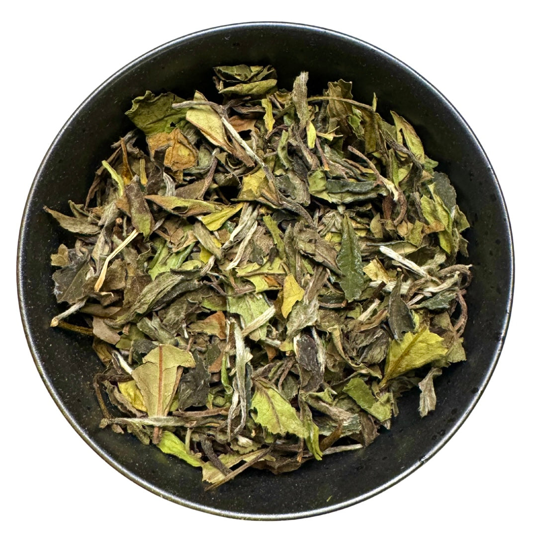 Pai Mu Tan - Weisser Tee (Bestseller, Bio)
