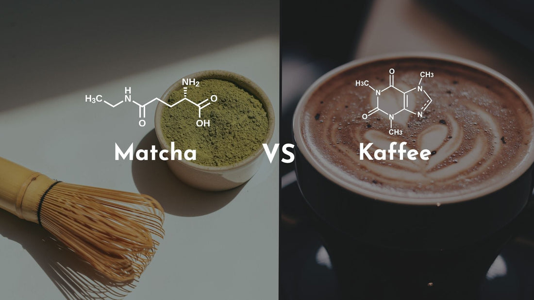 Matcha am Morgen: Die bessere Alternative zu Kaffee?