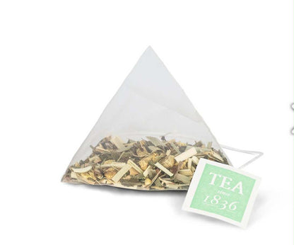 Ingwer Fresh Tea Pyramidenbeutel