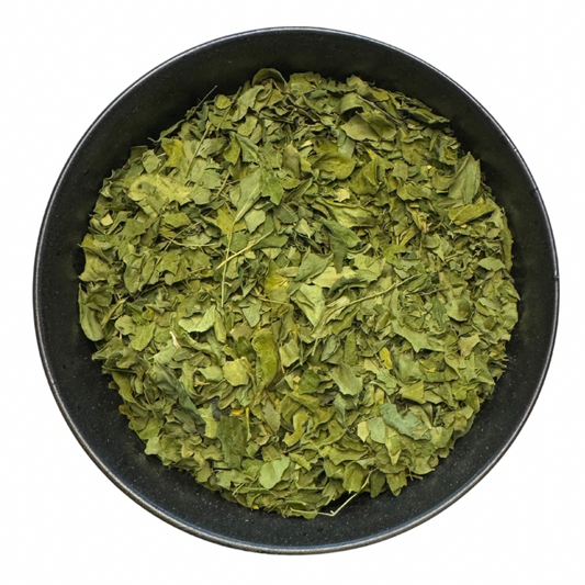 Moringa Tee (Bio) - Lose Kräuter