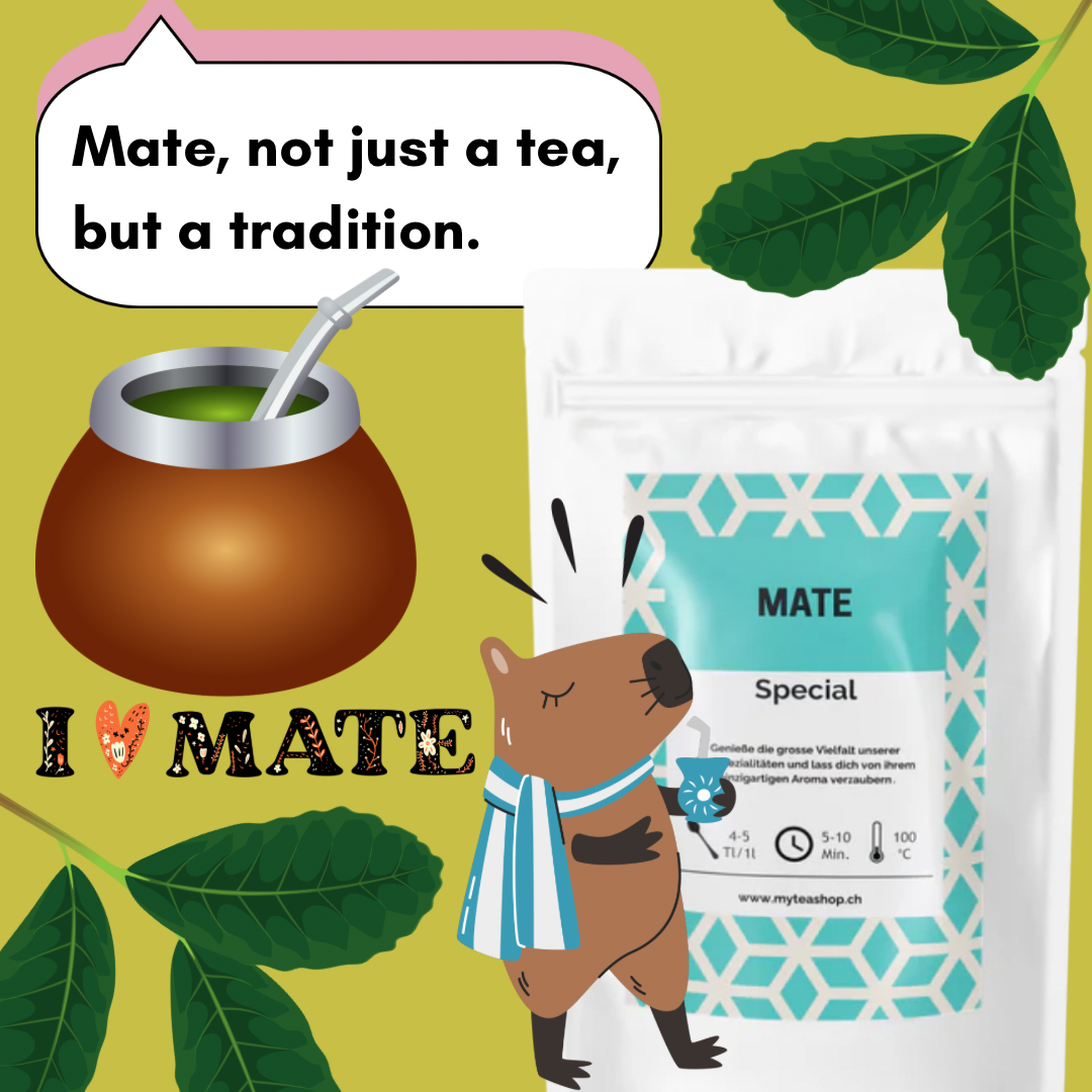 Brazilian Yerba Mate - Tee (Bio)